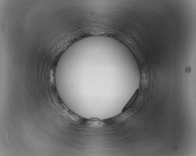 X0000112460621200908171018