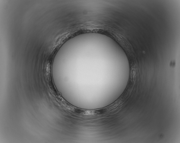X0000112460623200908171018