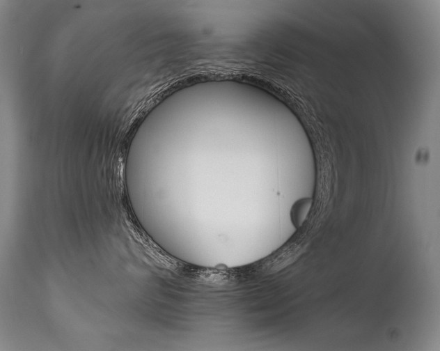 X0000112460624200908171018