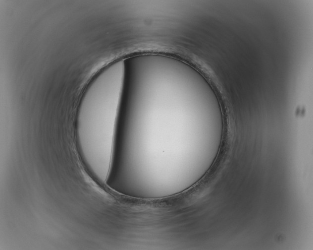 X0000112460625200908171017