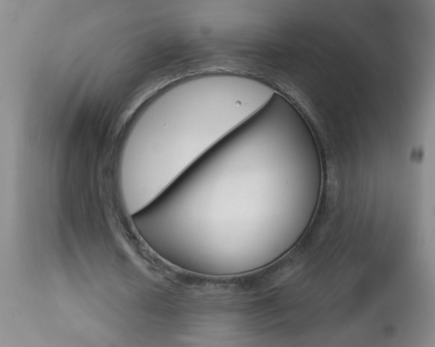 X0000112460626200908171017