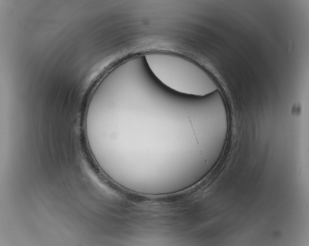 X0000112460629200908171017