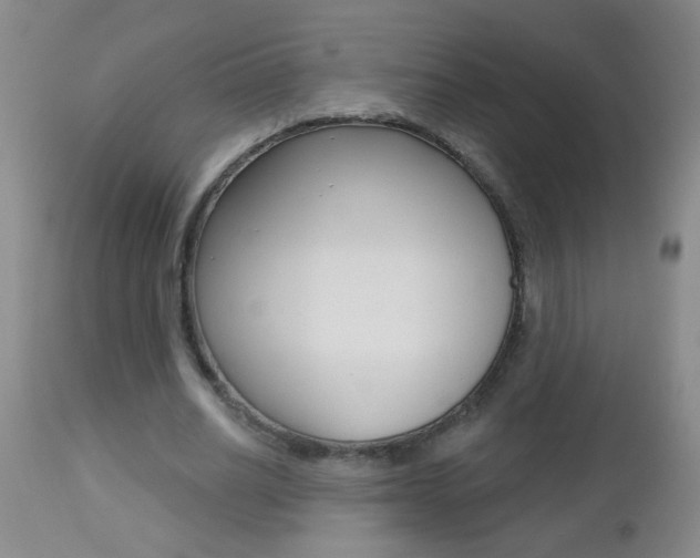 X0000112460630200908171017