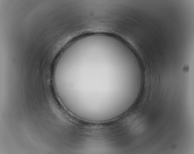 X0000112460631200908171017