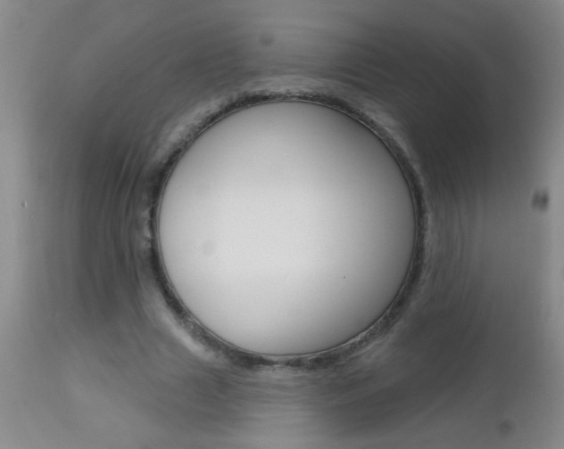 X0000112460633200908171017