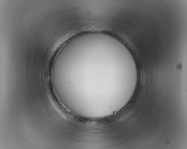 X0000112460634200908171017