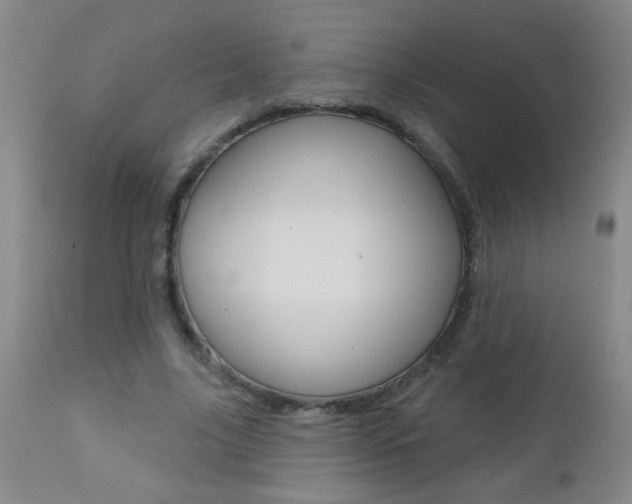 X0000112460635200908171017