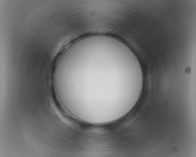 X0000112460638200908171017