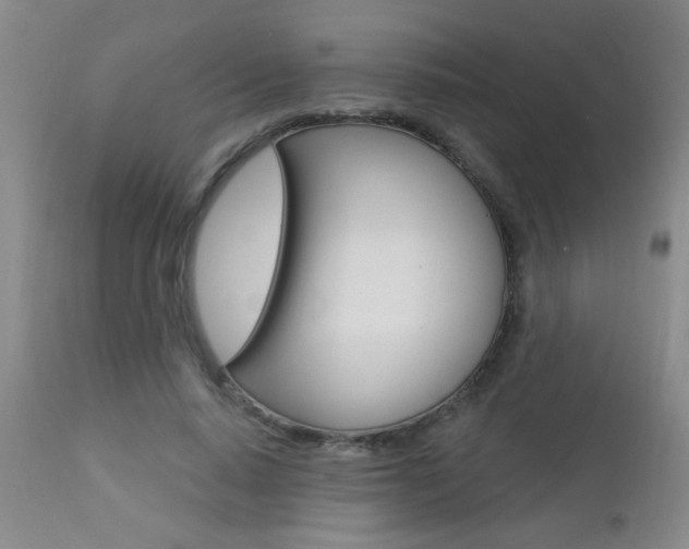 X0000112460640200908171017