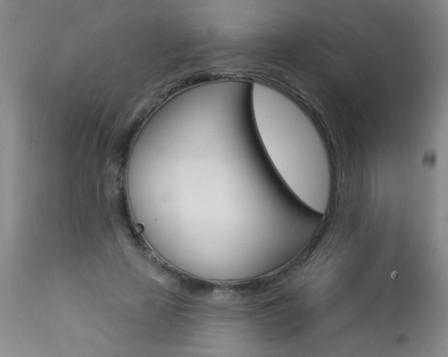 X0000112460641200908171017