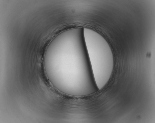 X0000112460643200908171017