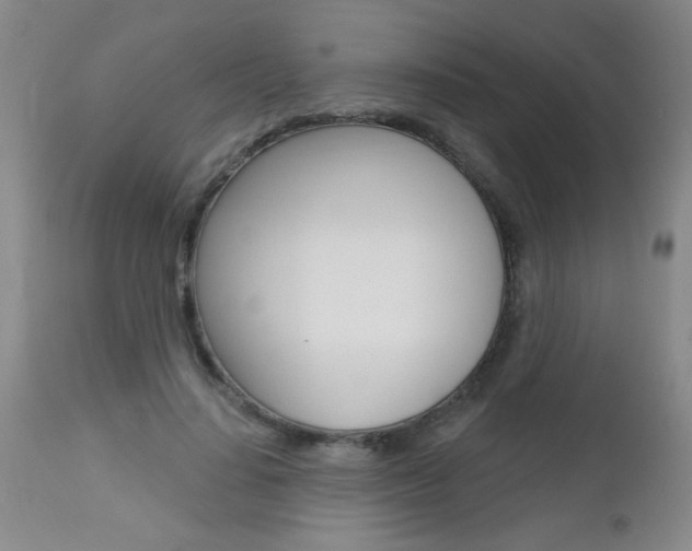 X0000112460644200908171017