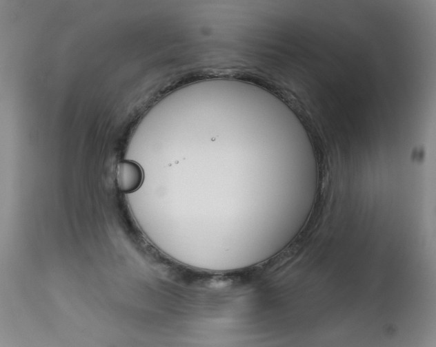 X0000112460647200908171017