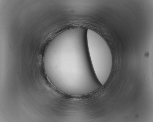 X0000112460649200908171017