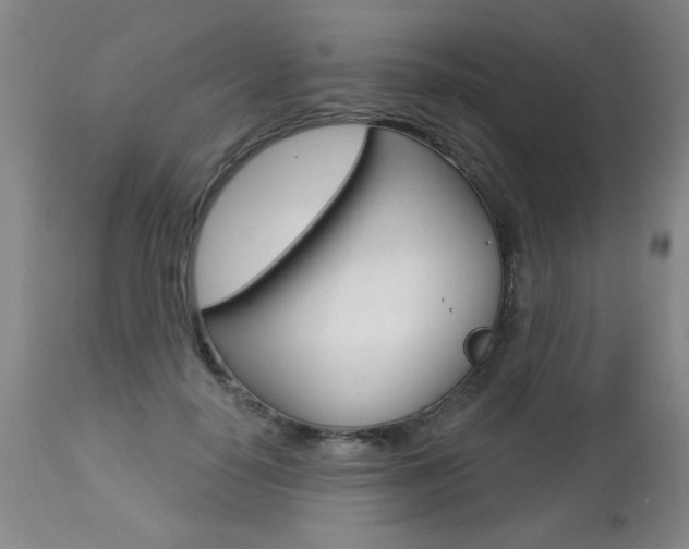 X0000112460650200908171017