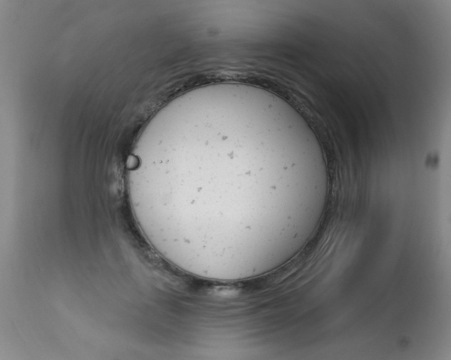 X0000112460651200908171017