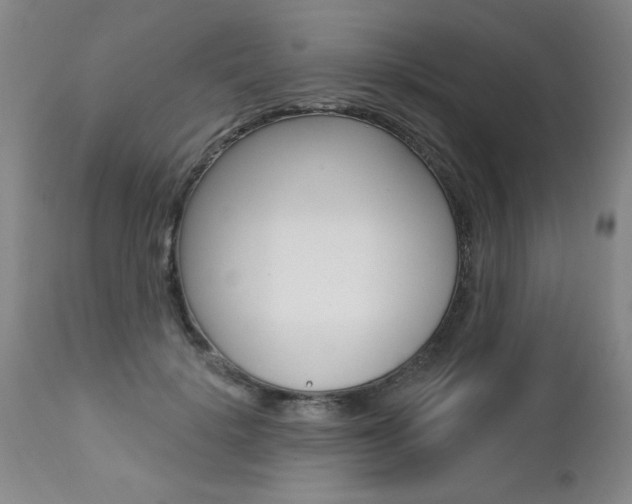 X0000112460652200908171017