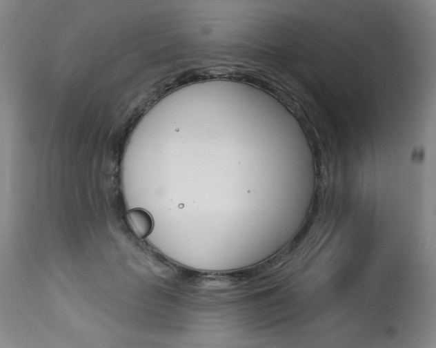 X0000112460653200908171017