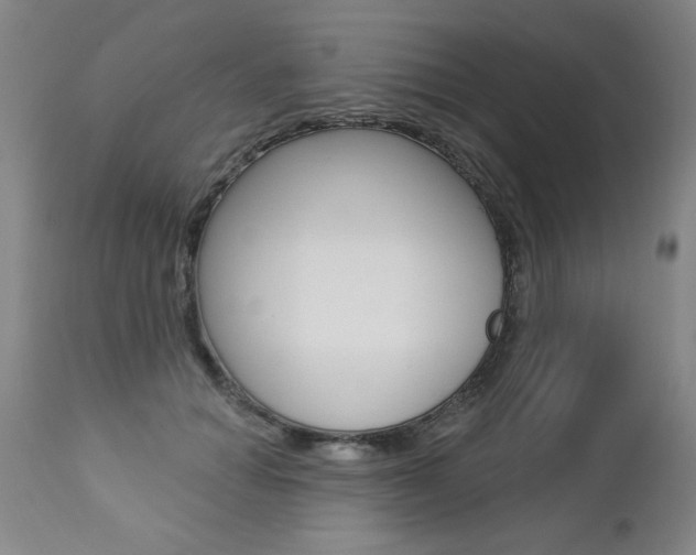 X0000112460654200908171017