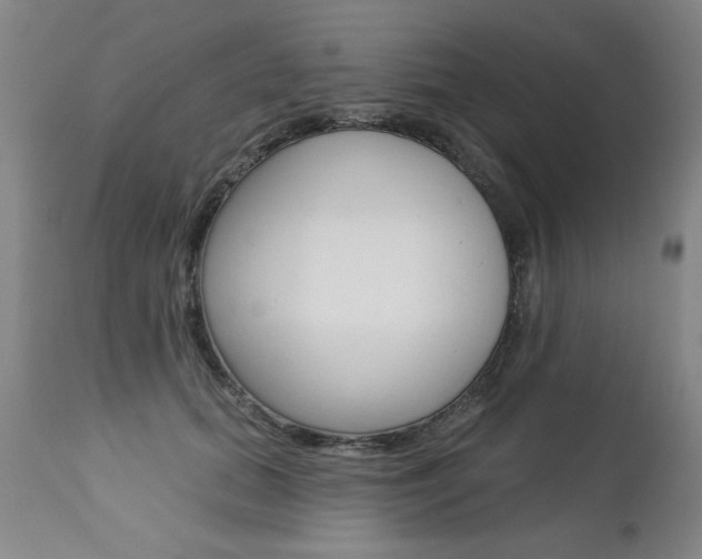 X0000112460655200908171017