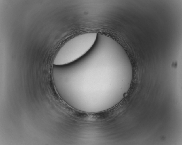 X0000112460656200908171017