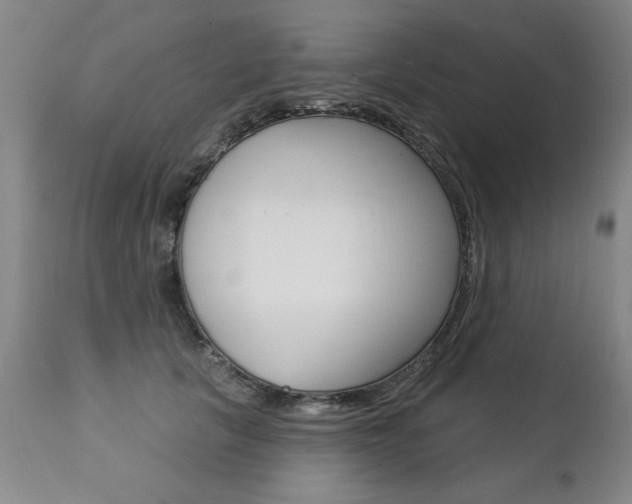 X0000112460657200908171017