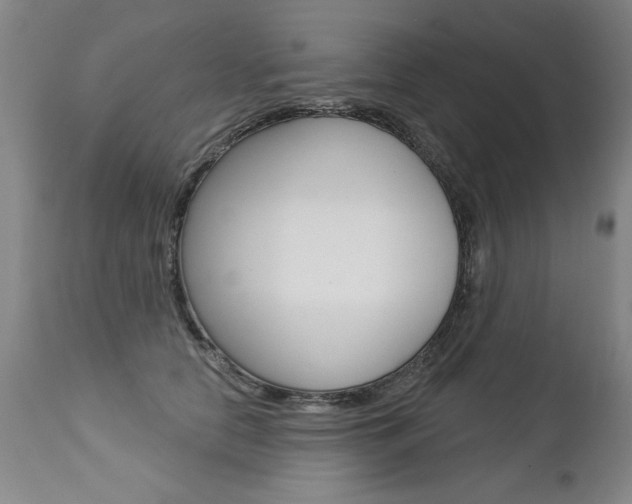 X0000112460658200908171017