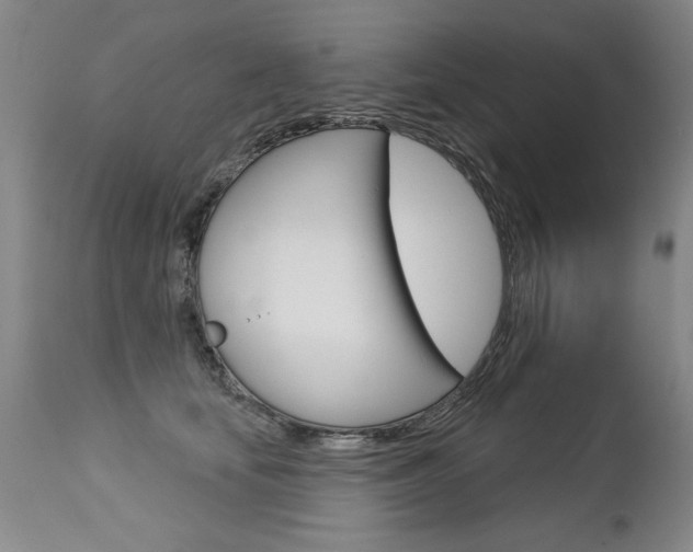 X0000112460659200908171017