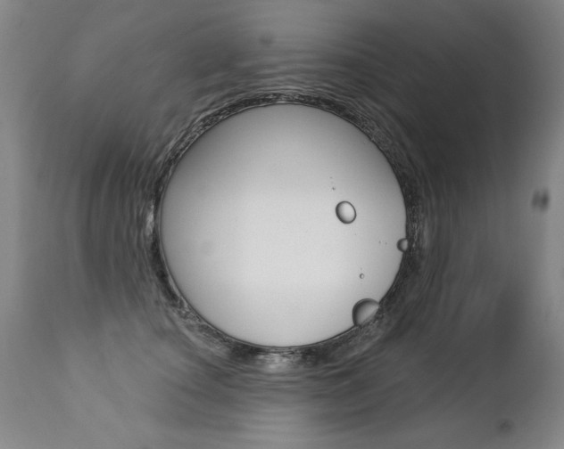 X0000112460660200908171017