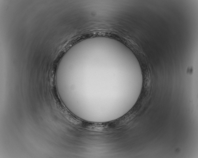 X0000112460661200908171017