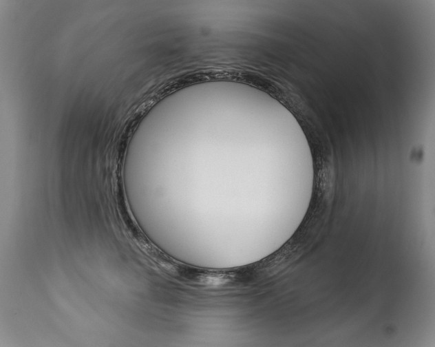 X0000112460662200908171017