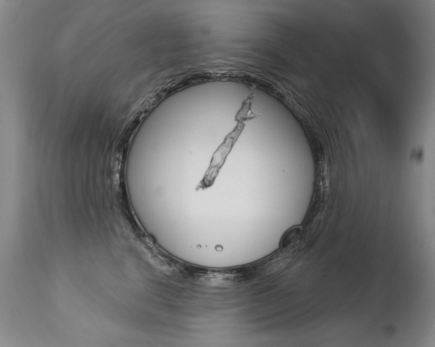 X0000112460664200908171018