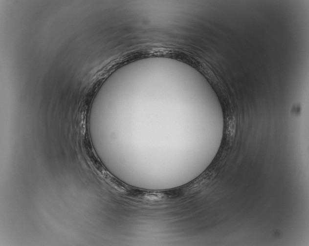 X0000112460666200908171018