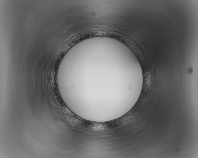 X0000112460667200908171018