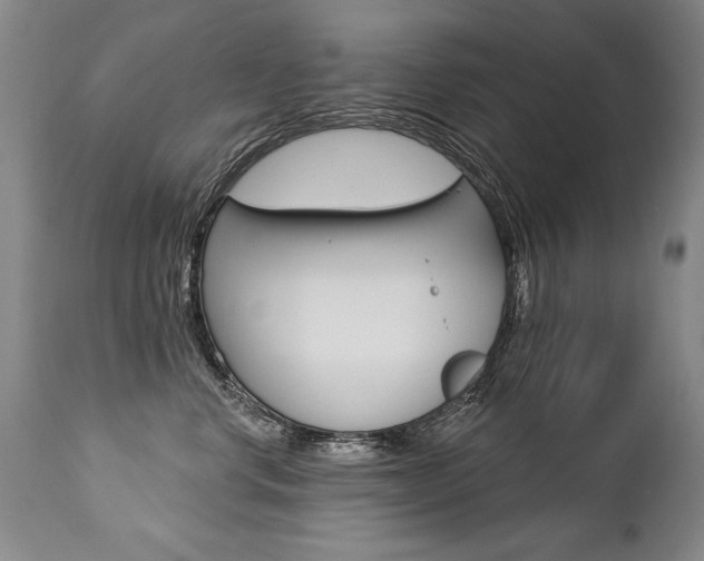 X0000112460668200908171018