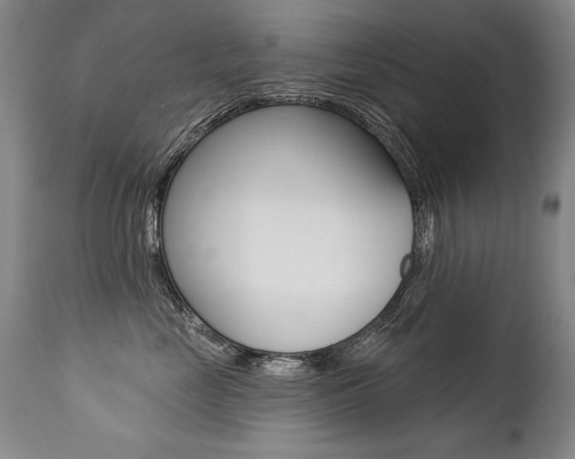 X0000112460669200908171018