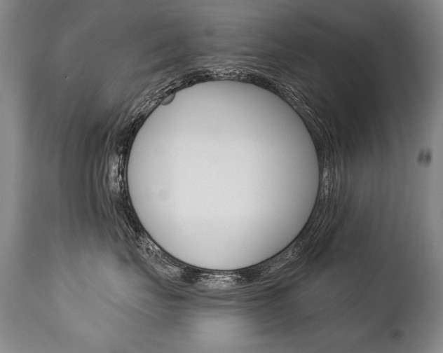 X0000112460671200908171018