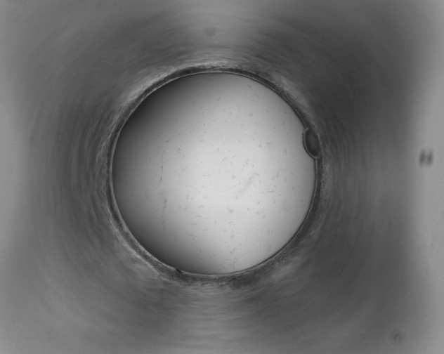 X0000112460673200908171017
