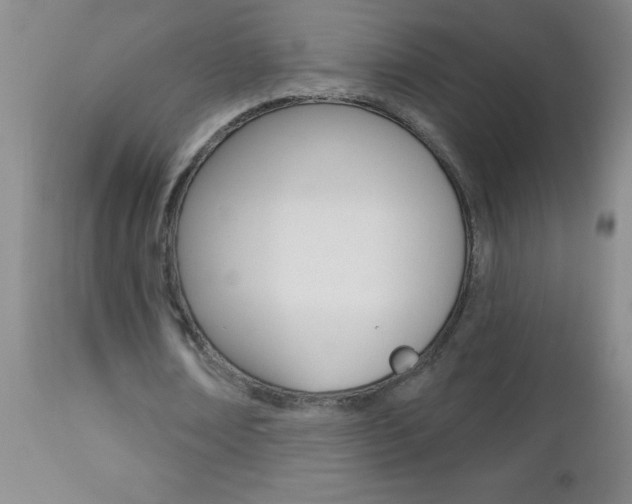 X0000112460674200908171017