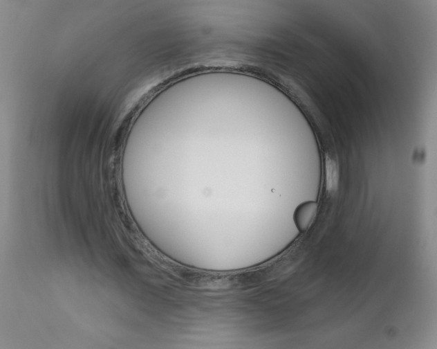 X0000112460675200908171017