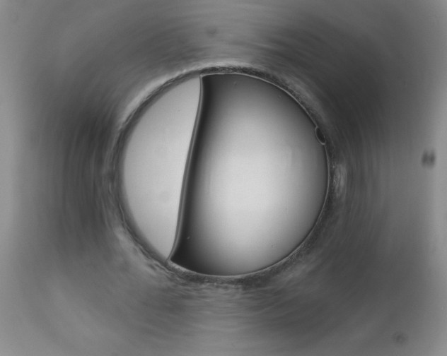 X0000112460676200908171017