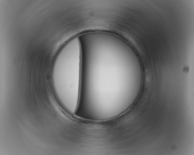 X0000112460677200908171017