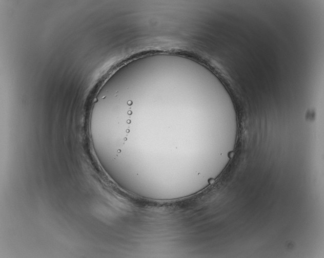 X0000112460679200908171017