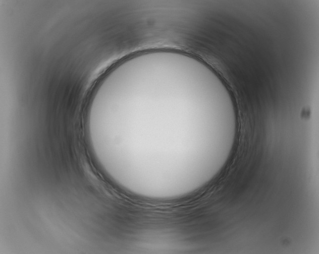 X0000112460680200908171017