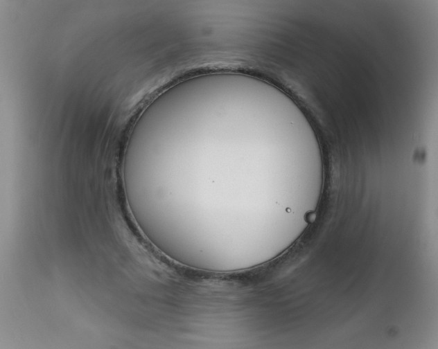 X0000112460681200908171017