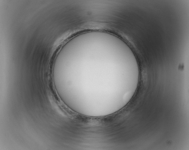 X0000112460682200908171017