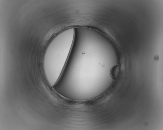 X0000112460685200908171017