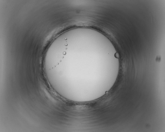 X0000112460686200908171017