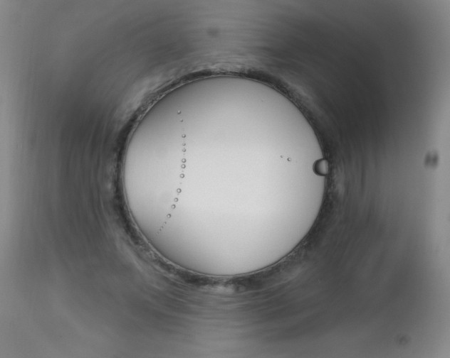 X0000112460687200908171017
