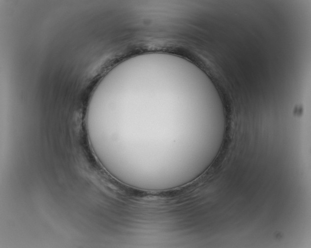 X0000112460691200908171017
